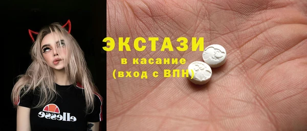 хмурый Гусь-Хрустальный