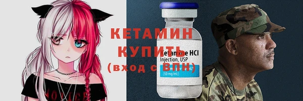 хмурый Гусь-Хрустальный