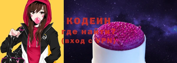 хмурый Гусь-Хрустальный