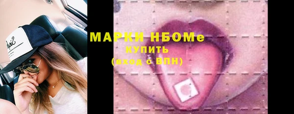 хмурый Гусь-Хрустальный