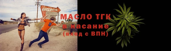 хмурый Гусь-Хрустальный