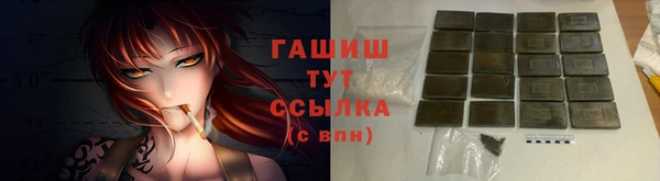 хмурый Гусь-Хрустальный