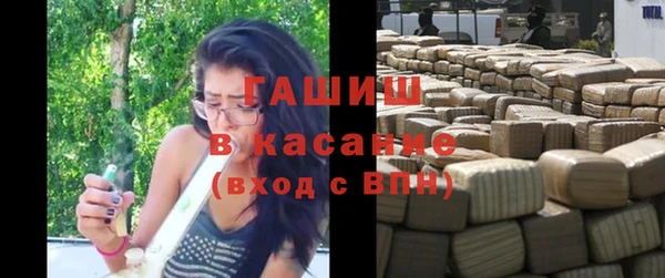 хмурый Гусь-Хрустальный