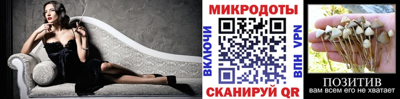 Галлюциногенные грибы Psilocybine cubensis  сколько стоит  Давлеканово 